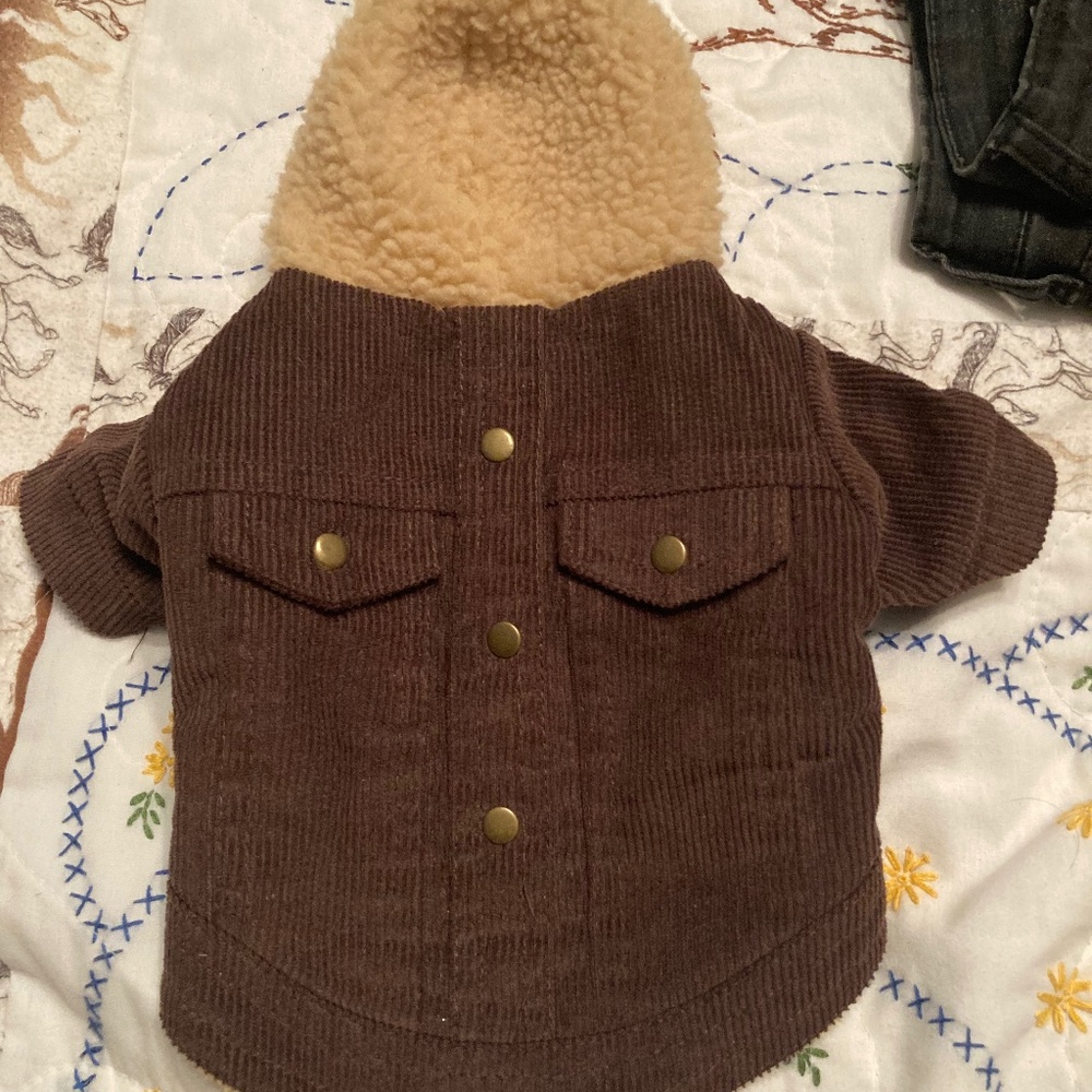 Dog coat